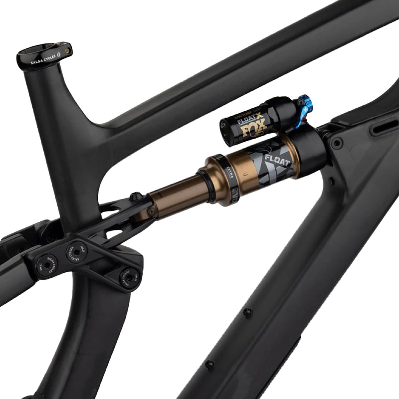 Load image into Gallery viewer, Salsa Blackthorn