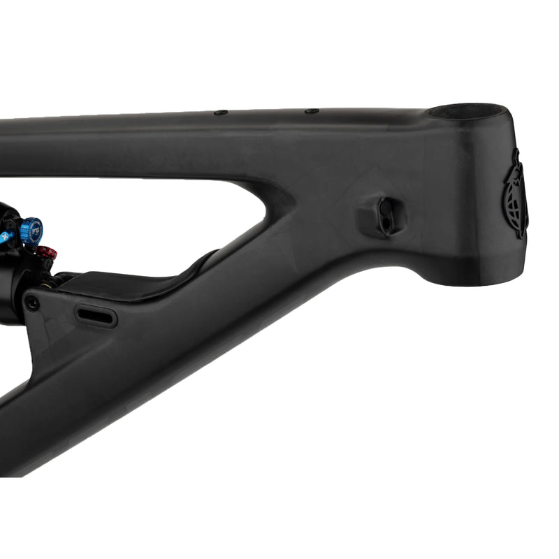 Load image into Gallery viewer, Salsa Blackthorn