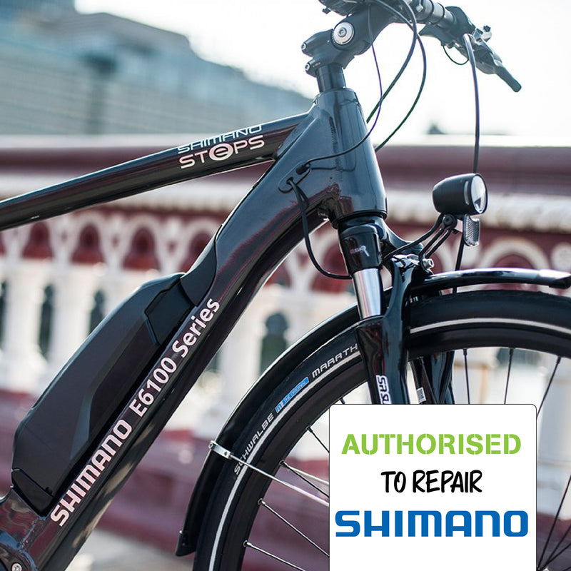 Load image into Gallery viewer, e-Bike Service