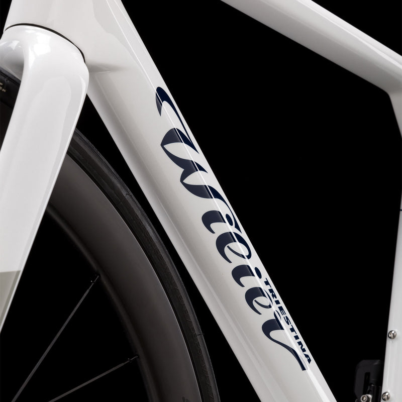 Load image into Gallery viewer, Wilier Granturismo SL Frameset
