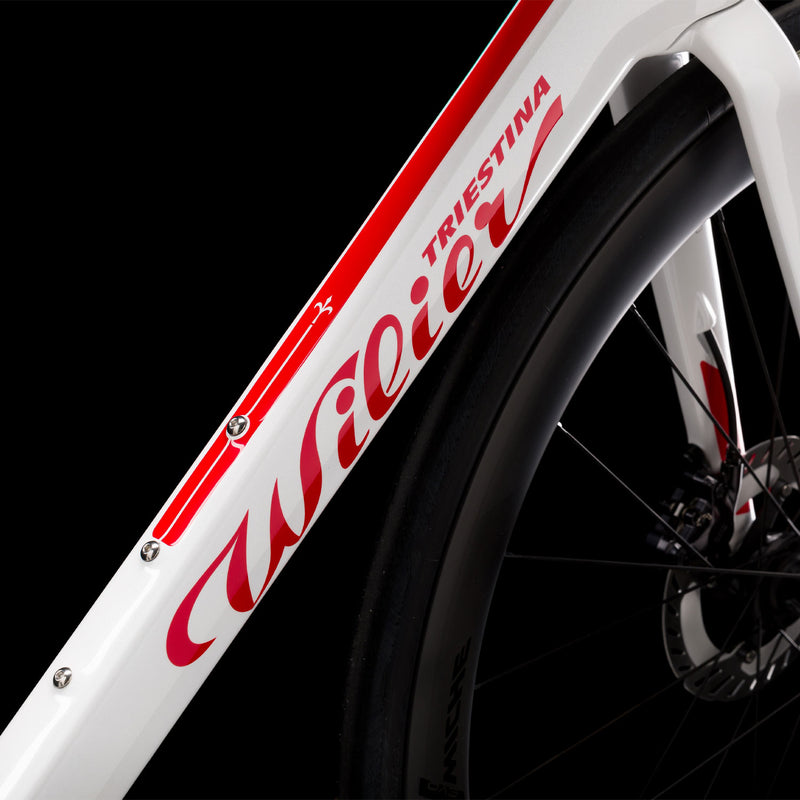 Load image into Gallery viewer, Wilier Filante SL Frameset