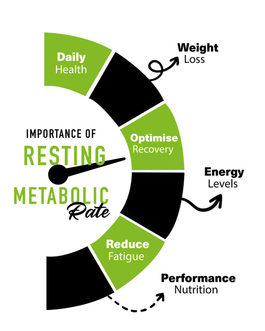 Resting Metabolic Test