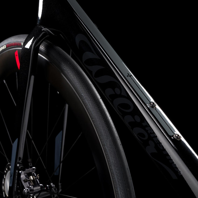 Load image into Gallery viewer, Wilier Filante SL Frameset