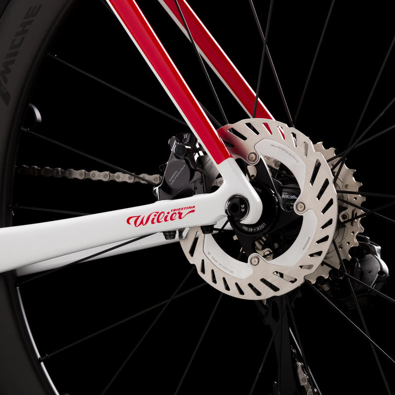Load image into Gallery viewer, Wilier Filante SL Frameset