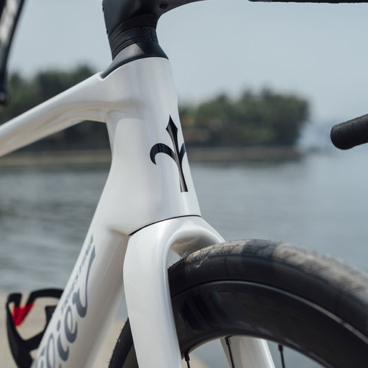 Wilier Rapida Frameset