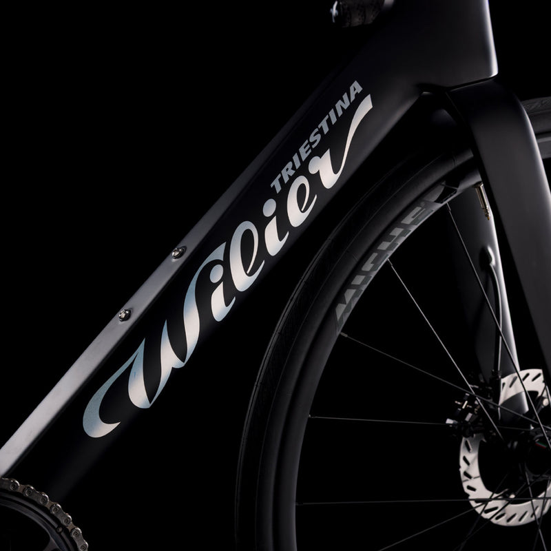 Load image into Gallery viewer, Wilier Rapida Frameset
