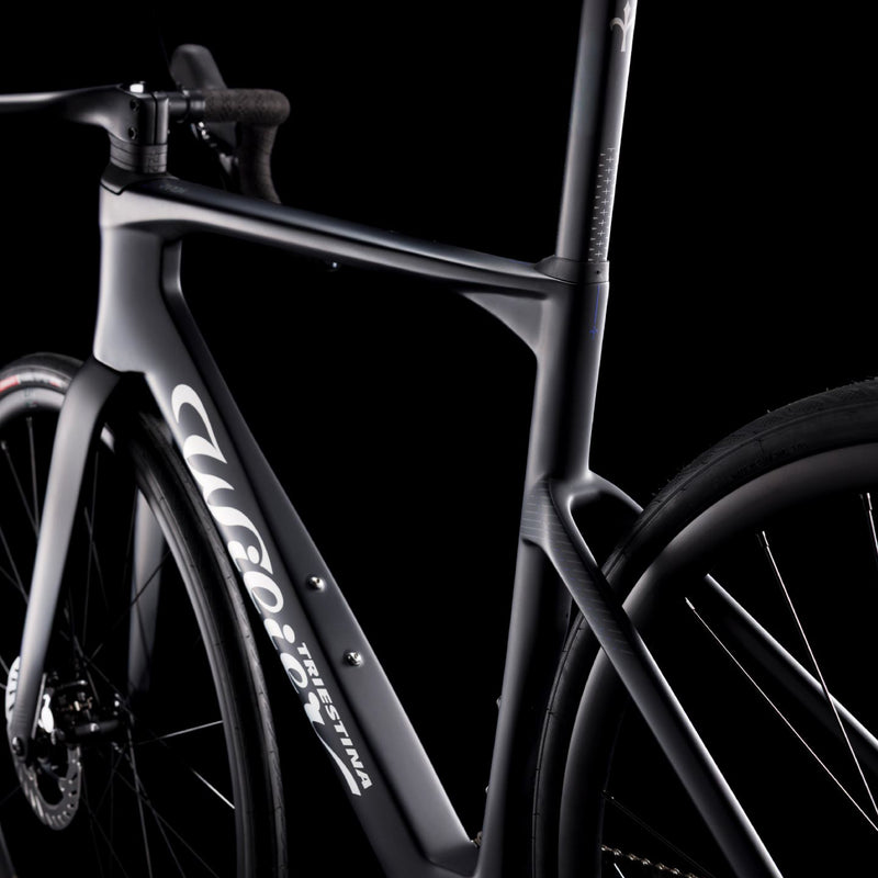 Load image into Gallery viewer, Wilier Rapida Frameset
