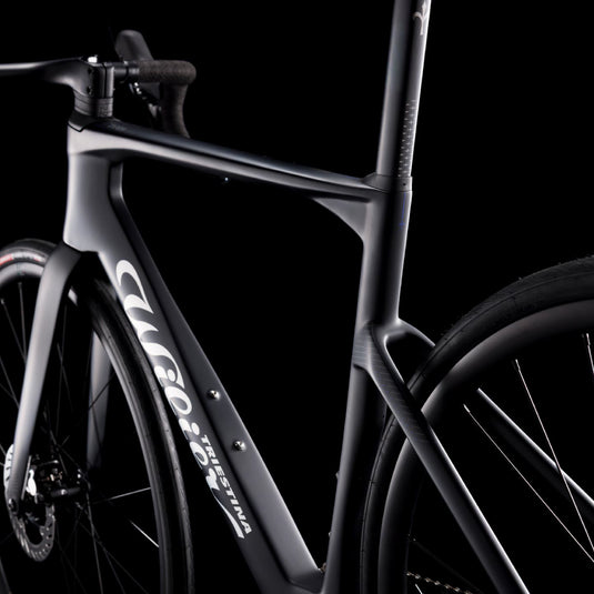 Wilier Rapida Frameset