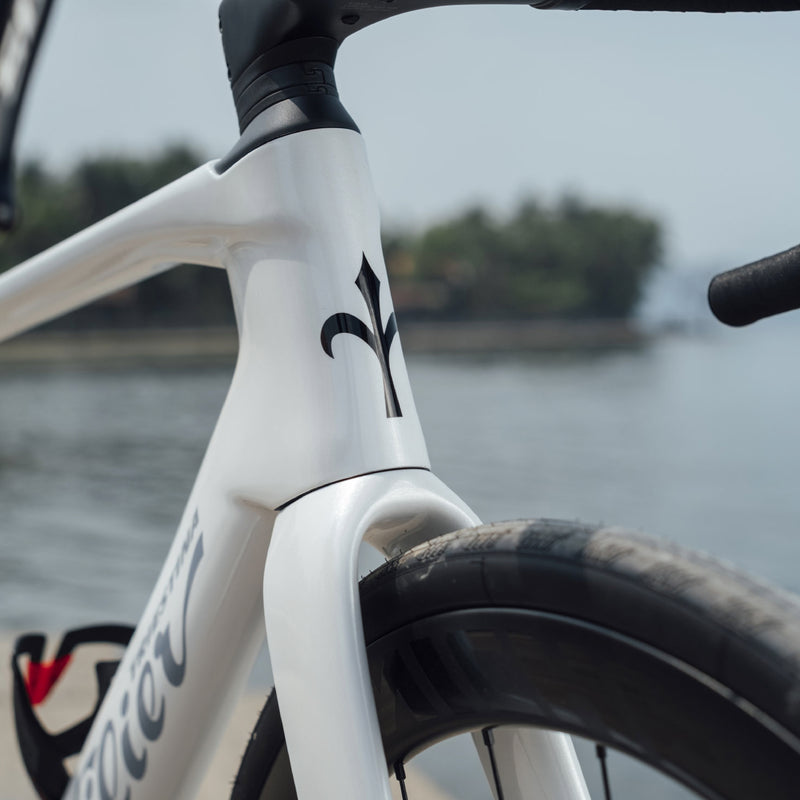 Load image into Gallery viewer, Wilier Rapida Frameset

