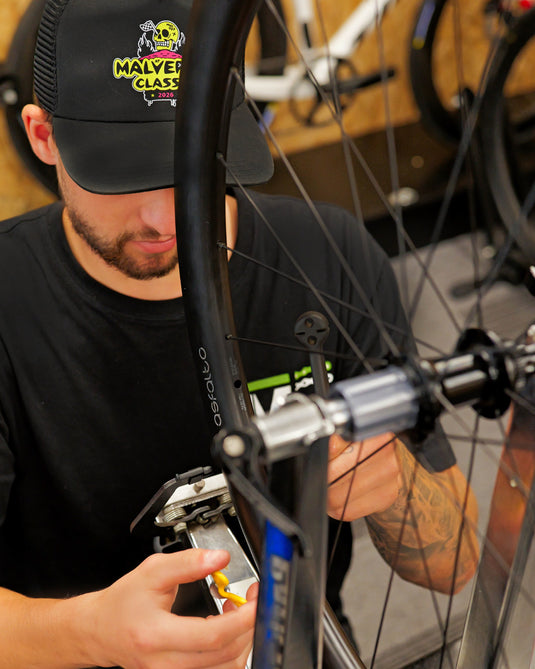 Workshop Mechanic (Growth Path)