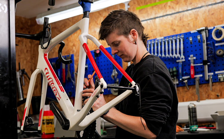 Wilier Dealer