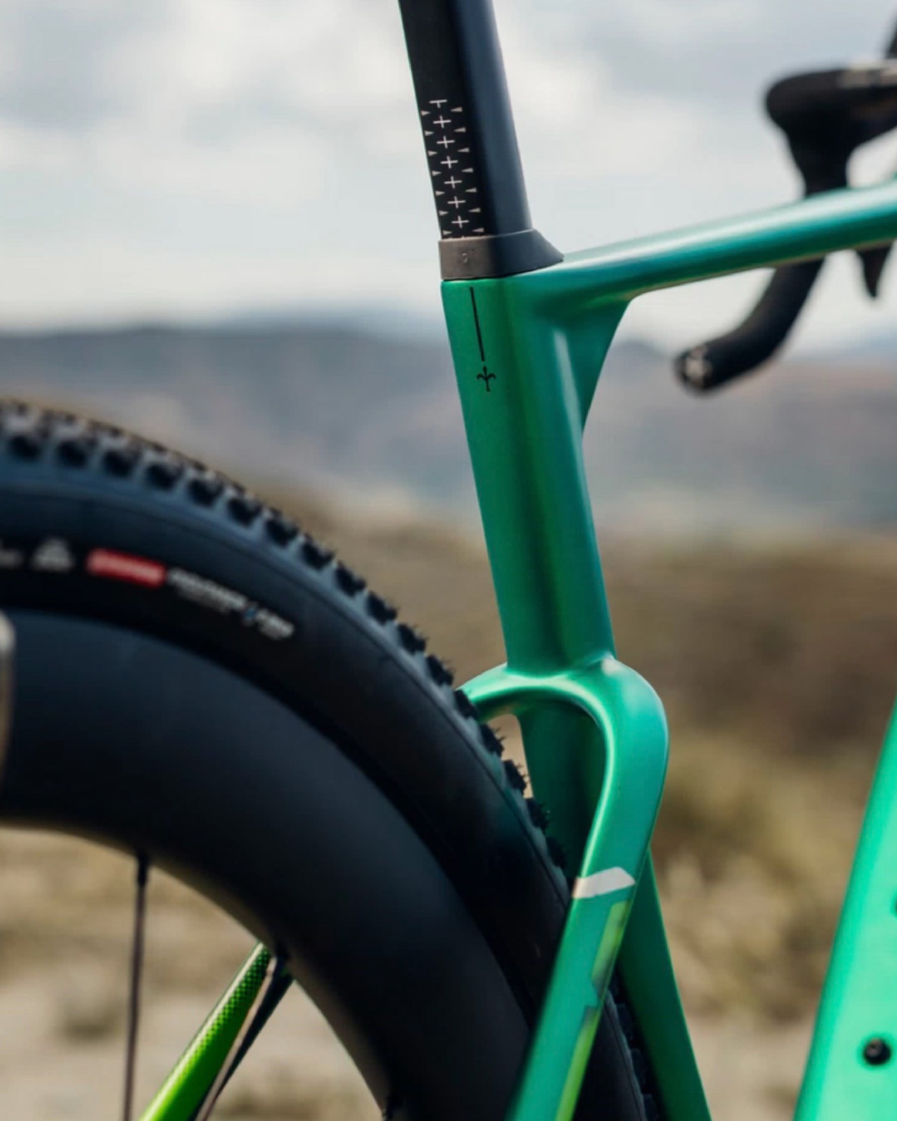 Wilier Rave SLR ID2 Frameset – Mapdec Cycle Works