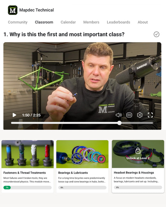 Professional Mechanics