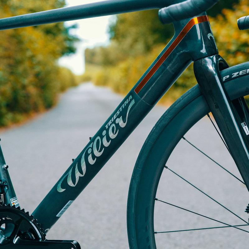 Load image into Gallery viewer, Wilier Verticale SLR Frameset
