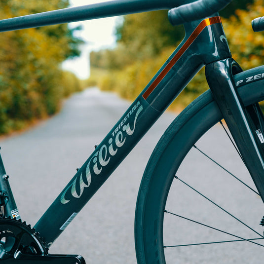 Wilier Verticale SLR Frameset