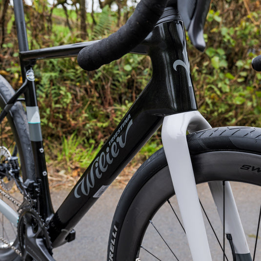 Rave SL Full Bike Build