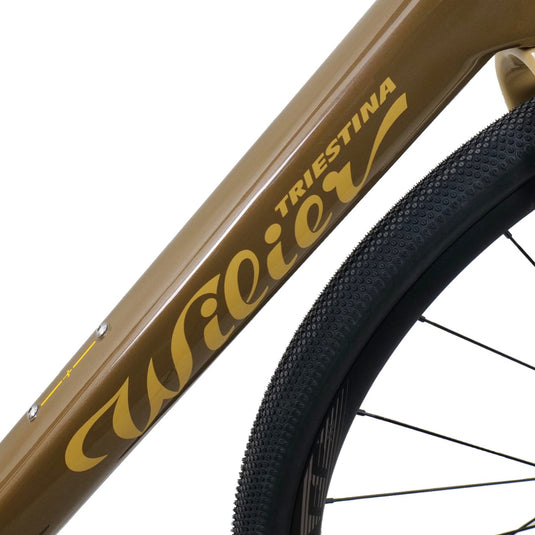 Rave SL Frameset