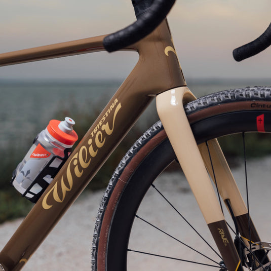 Rave SL Frameset