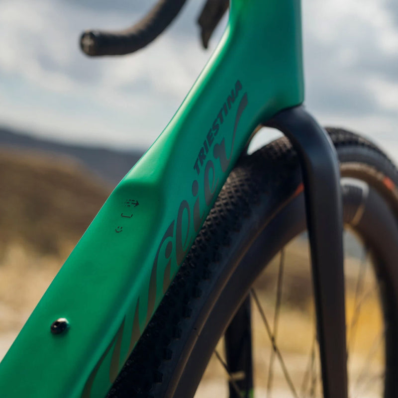 Load image into Gallery viewer, Wilier Rave SLR ID2 Frameset
